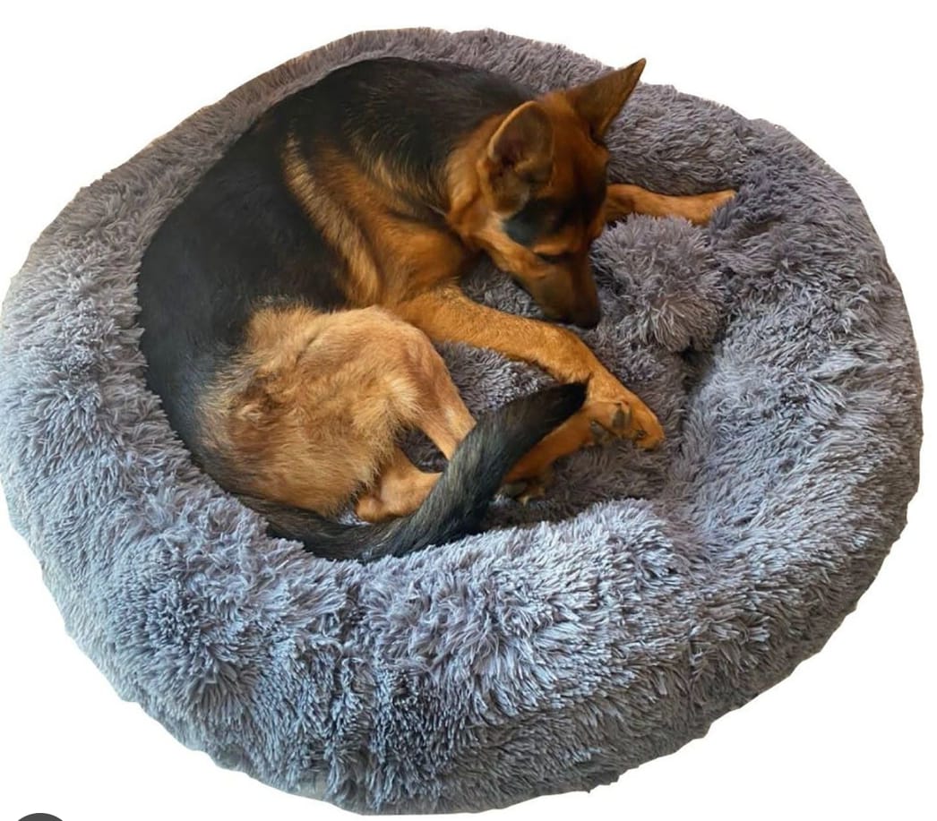 Camas Anti-estrés - Perros y Gatos